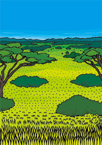 サバンナ（昼）