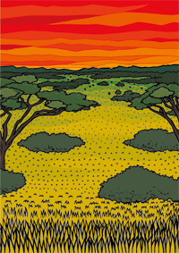 サバンナ（夕方）